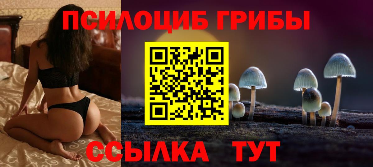 Галлюциногенные грибы ЛСД Ревда